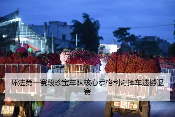 环法第一赛段珍宝车队核心罗格利奇摔车遗憾退赛